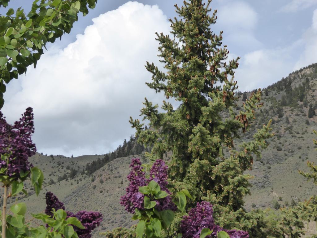 Yellowstone Basin Inn Гардинер Экстерьер фото