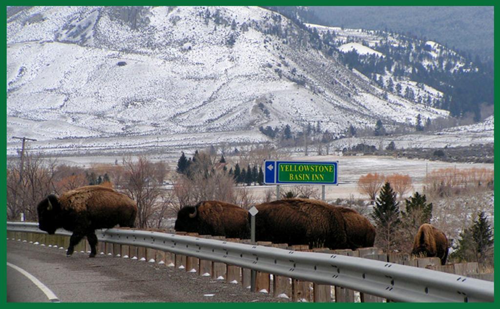 Yellowstone Basin Inn Гардинер Экстерьер фото