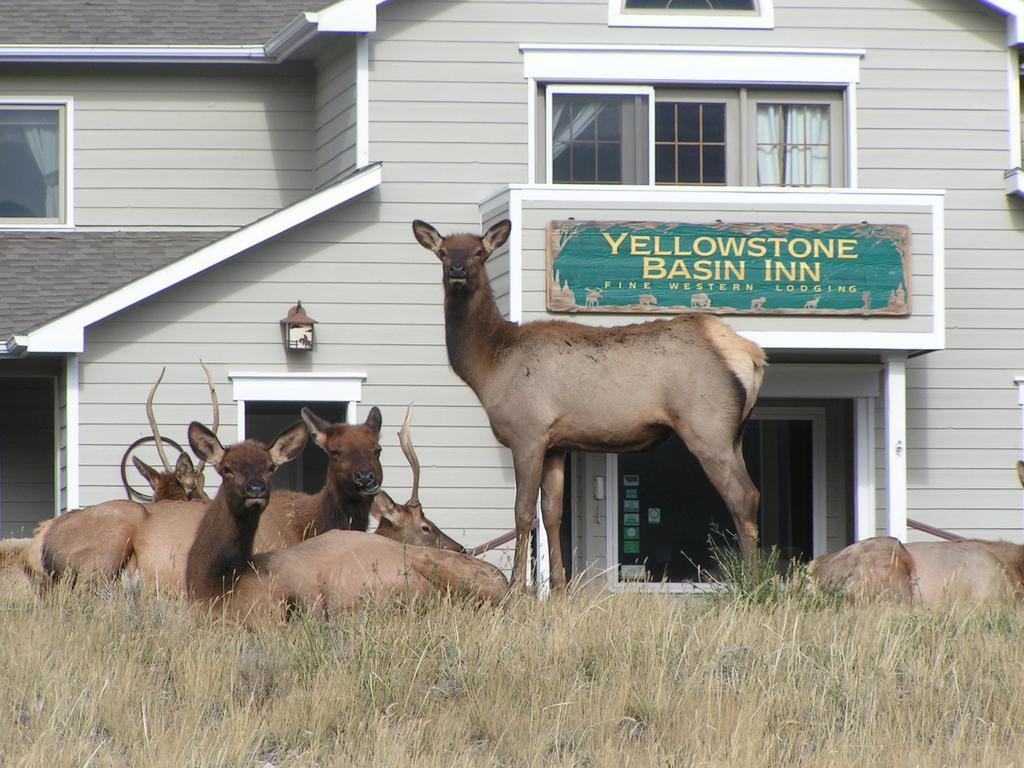 Yellowstone Basin Inn Гардинер Экстерьер фото