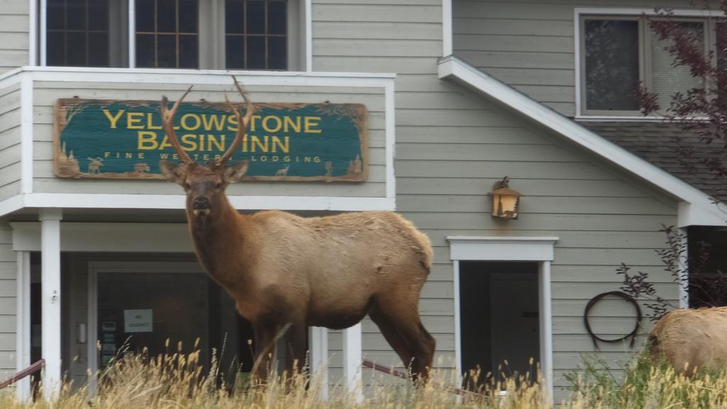 Yellowstone Basin Inn Гардинер Экстерьер фото