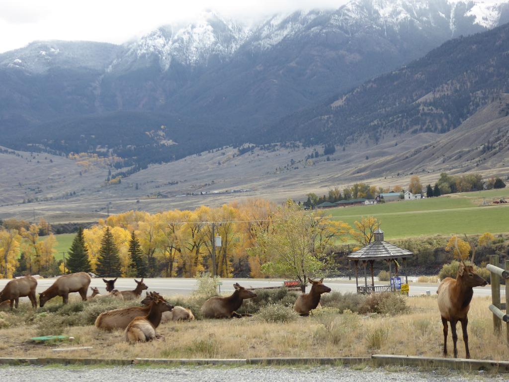 Yellowstone Basin Inn Гардинер Экстерьер фото