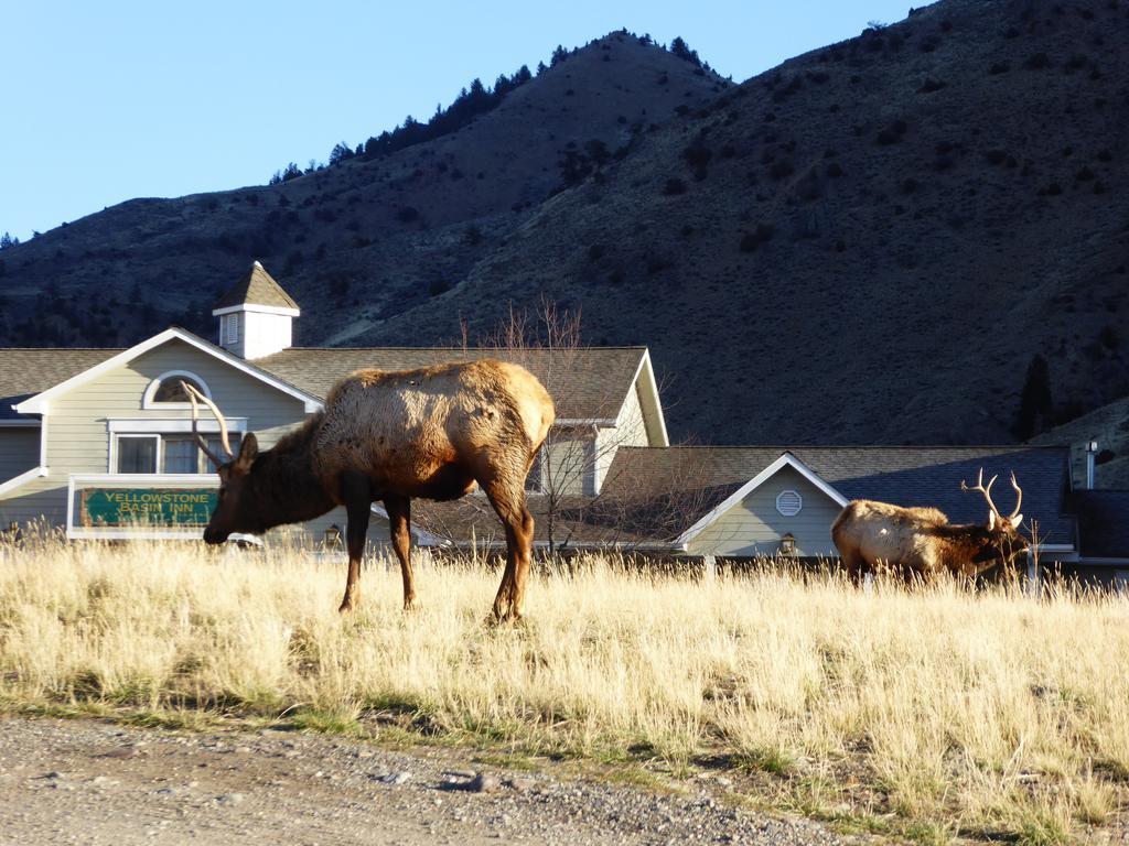 Yellowstone Basin Inn Гардинер Экстерьер фото